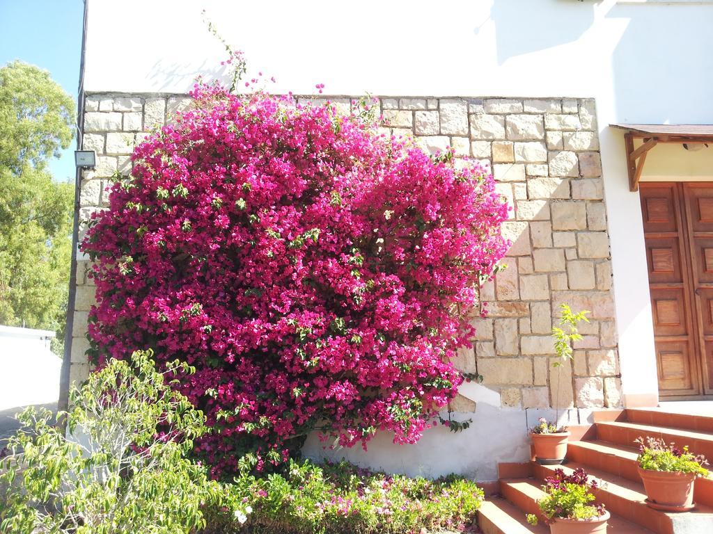 Al Sole Di Pula Bed & Breakfast Exterior foto